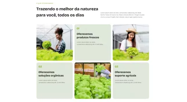Benefícios